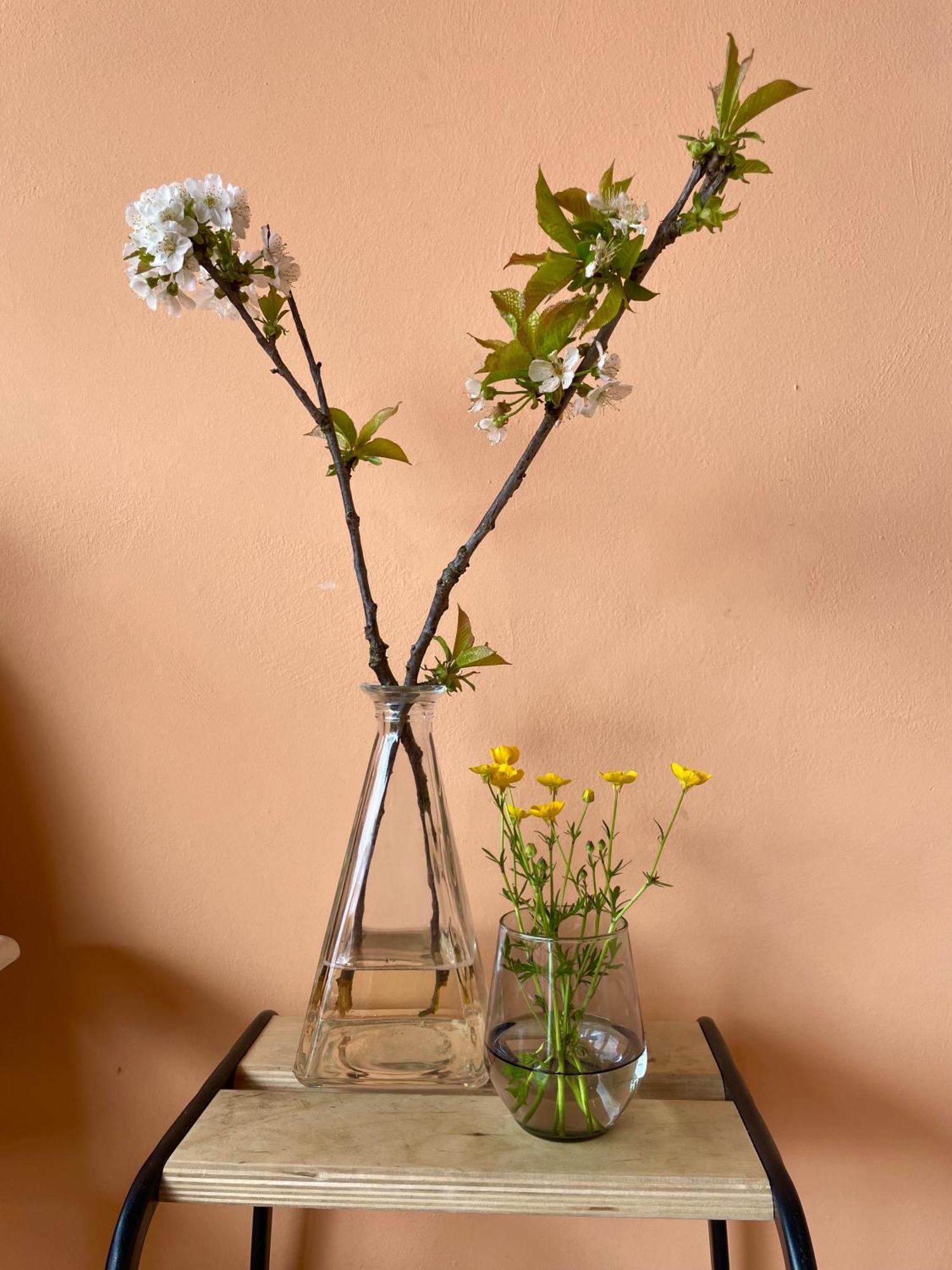 Studio Rosa Miagliano Exteriör bild